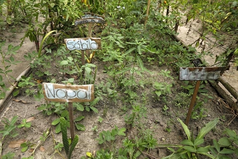 Crops are crucial to the community’s economic security. But the region is vulnerable to flooding. Photo: UN Women/Ryan Brown